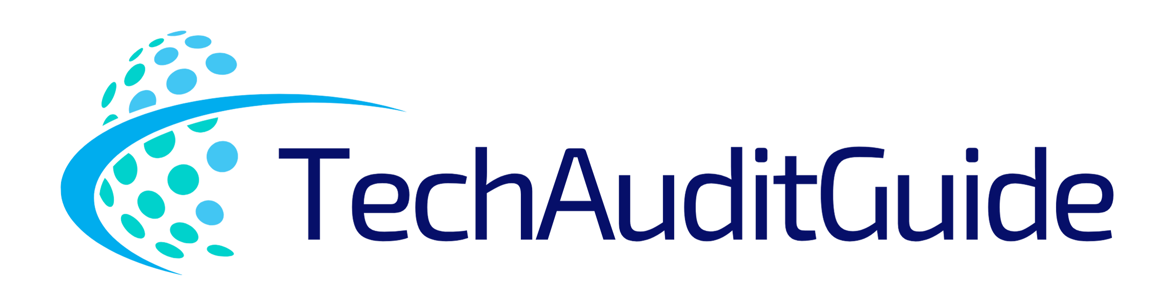 techauditguide.com
